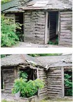 Log House.webp