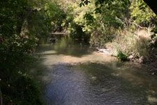 san_antonio_river_at_san_juan_tn.jpg