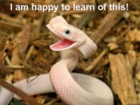 happy_snake.jpg