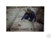 wheel-ruts-superstitions.JPG