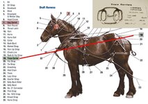 Harness Diagram2.jpg