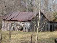 Metal Detecting in KY 012.jpg