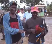 man and rooster.webp