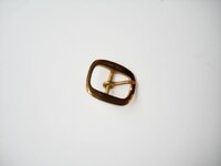 NAP-brass%20buckle%20belt%20width%2025%20mm.jpg