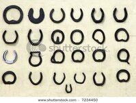 stock-photo-twenty-five-different-types-of-old-horseshoes-lined-up-in-rows-against-a-pale-crea...jpg