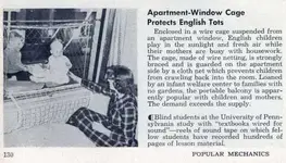 invention apartmentwindowcage.webp