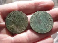 Early Coppers 016.webp