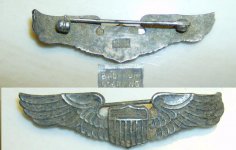 WIng Badge.JPG