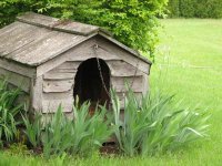 build-dog-house-1.jpg