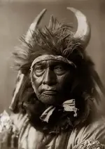 Buffalo-Head-Dress.webp