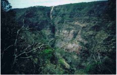 Looking W across theTayopa canyon to the Saw mill ©@.jpg