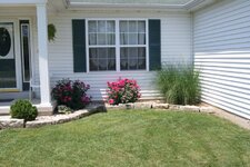 Mrs Buckhunters flower beds 1.jpg