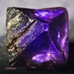 flourite xl.jpg