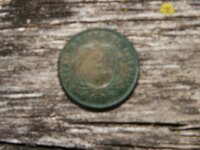 Texas,coins,javelina 032.jpg