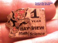 Bay View School Pin.jpg