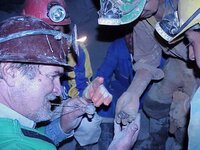 7 Miners looking at Coins Bright.jpg