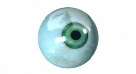 eyeball[1].jpg