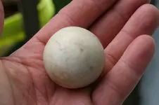 stoneball 001.webp