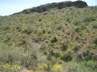 trail from mound.webp