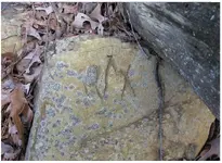 Rock Carving 2.webp