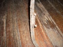 wagon wheel joint.jpg