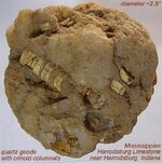 geodecrinoidcolumnals.jpg