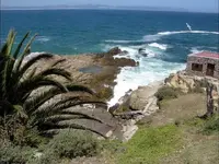 The south coast of South Africa.webp