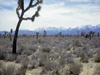 Photo of Mount Baldy taken by my father in 1948 our ranch view.webp