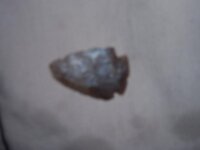 arrowhead 002.JPG