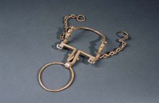 bridle_bit_600.jpg