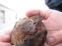 Possible petrified wood and indent and chain links below it Macro Pic.jpg