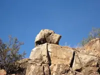 Dog rock.webp