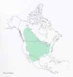 Bison_bison_map_mx.jpg