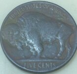 1937 Buffalo Back.JPG