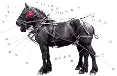 gag diagram w: swivel Harness File Ref  201-41.webp