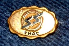 Old School Gold Pin.jpg