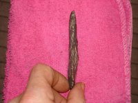 Arrowheads 023.JPG