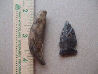 finds 2010 014 (824 x 618)2010.jpg