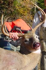 Vicki\'s buck 2010 005.jpg