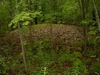 Rock Pile in Woods.webp