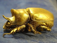 gold bug.png