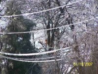 ice on power lines.jpg