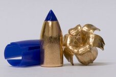 sabot bullet expanded.jpg