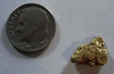 3gram nugget.webp