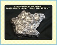 2.7 LB SILVER NUGGET (B-YG).JPG