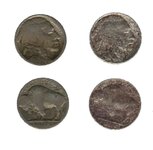 My Buffalo Nickels.jpg