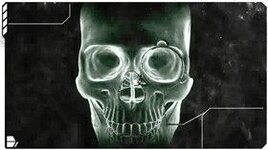 preview-50-3340-280 rotating xray skull.jpg