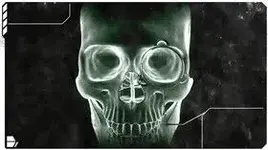 preview-50-3340-280 rotating xray skull.webp