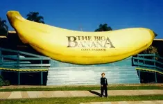 wlbanana.webp