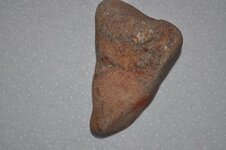 possum trott lithics 263.JPG